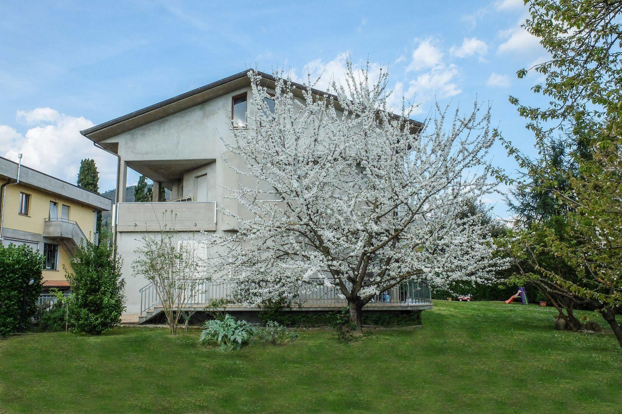 B&B I Fiori San Giustino エクステリア 写真